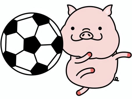 ブタさん サッカー サッカー,豚,ボール,スポーツ,動物,キャラクター,クラブ,部活,哺乳類,球技のイラスト素材