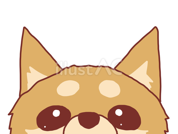 柴犬の顔の上半分だけのイラスト 動物,顔,半分のイラスト素材