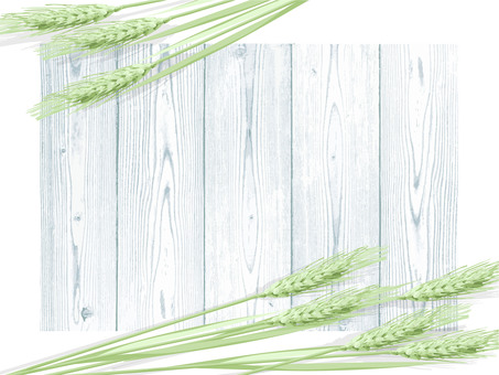 青々した緑の麦穂と板の背景mugi003 青々した緑の麦穂と板の背景mugi003 麦穂,青々,リアル,緑,ナチュラル,お洒落,自然,植物,大人っぽい,枠のイラスト素材
