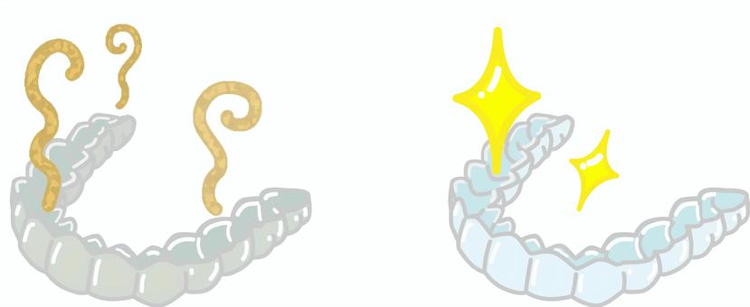 マウスピース２ 歯科,マウスピース,矯正,臭い,きれい,お手入れ,清掃のイラスト素材
