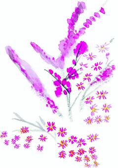 Illustration, sakura, fiore, primavera, 