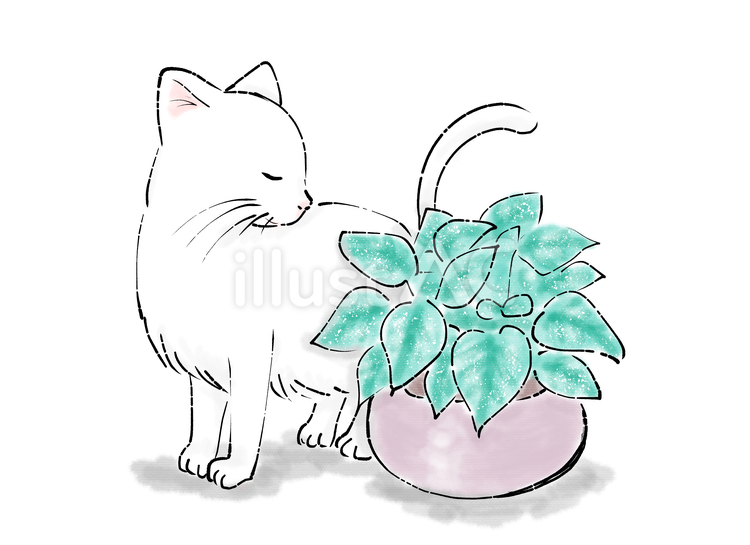 猫とポトス 猫,ポトス,植物のイラスト素材