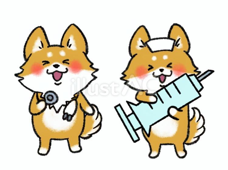 犬のお医者さんと看護師さん 柴犬,医者,看護師のイラスト素材