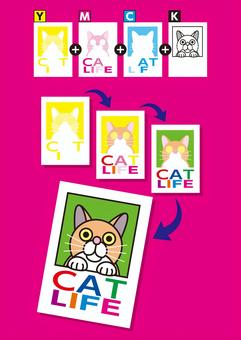4色印刷の説明図_M 印刷,プリント,cmyk,オフセット印刷,4色,4色印刷,多版刷り,4色版,ymck,猫のイラスト素材