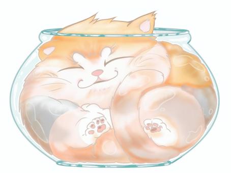 Illustration, cat, container, glass, 