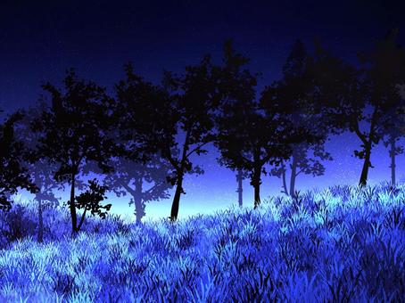 林　青 背景,グラデーション,光,林,夜のイラスト素材