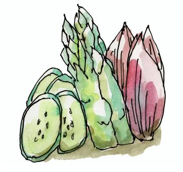 ぬか漬け ぬか漬け,つけもの,きゅうり,アスパラガス,茗荷,手描き,水彩のイラスト素材