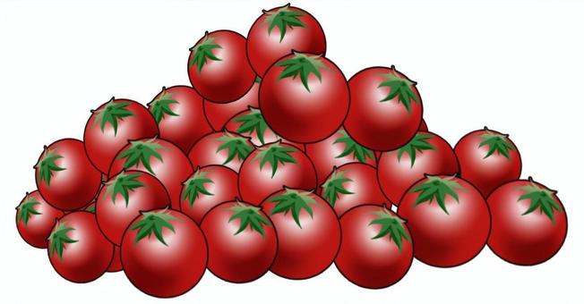 たくさんのトマト たくさん,トマト,食べ物,赤,大量,収穫,野菜のイラスト素材