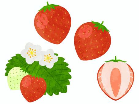 Illustration, Illustration, strawberry, fruit, food,
