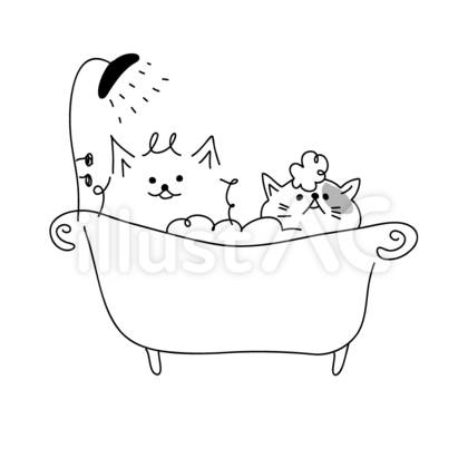 犬猫 お風呂