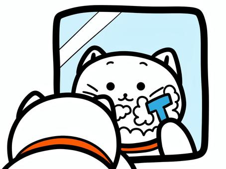 猫でもひげ剃り 猫,ひげ剃り,じょりじょり,スッキリ,鏡,シェービング,セルフ,泡,動物,ゆるいのイラスト素材