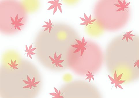 紅葉14 壁紙,背景,綺麗,紅葉,秋のイラスト素材