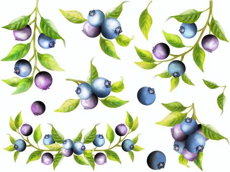 Blueberry material set, JPG and PNG Blueberry material set, blueberry, berry, leaf, JPG and PNG