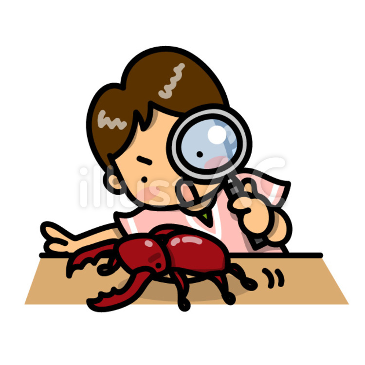 クワガタを観察する男の子 クワガタ,クワガタムシ,昆虫のイラスト素材
