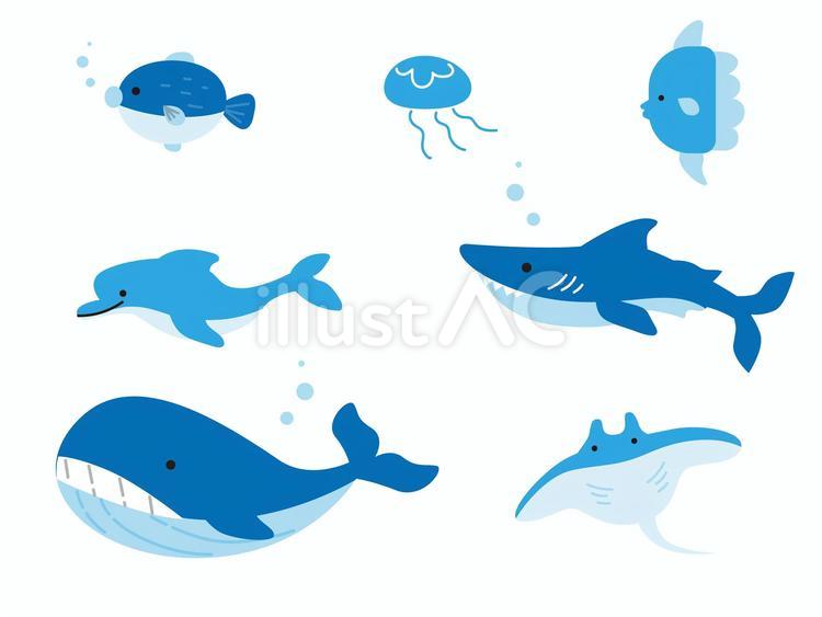 海のかわいい生き物イラストセット 線画,フレーム,鯨のイラスト素材