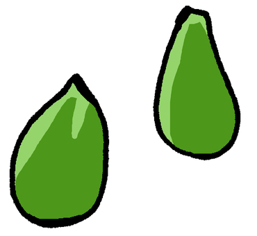 かぼちゃの種 かぼちゃ,種,植物,種子,植える,種まき,自然,粒,栄養,実りのイラスト素材