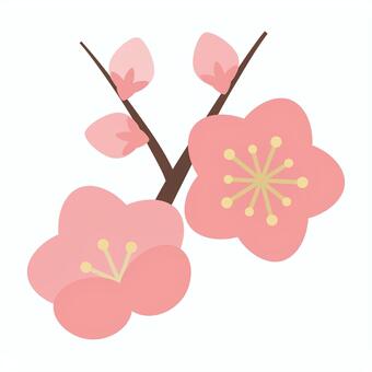 梅の花と蕾_ピンク 梅,梅の花,紅梅,花,蕾,つぼみ,枝,ピンク,桃色,迎春のイラスト素材