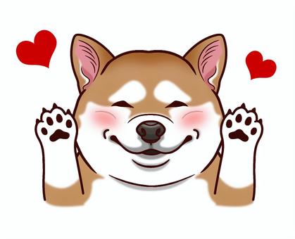 笑う柴犬2 柴犬,笑う,犬,笑顔,面白いのイラスト素材