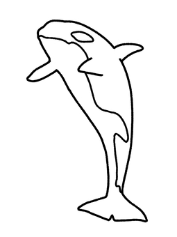 シャチ シャチ シャチ,海,水族館,哺乳類,生き物,塗り絵のイラスト素材