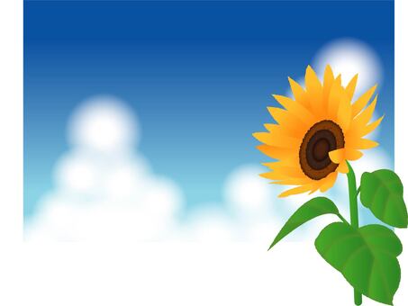 Illustration, sunflower, sunflower, sunflower, JPG and PNG