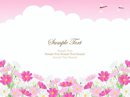 コスモスのフレーム、背景44 コスモス,秋桜,秋,花,赤とんぼ,花畑,水彩,背景,フレーム,手描きのイラスト素材