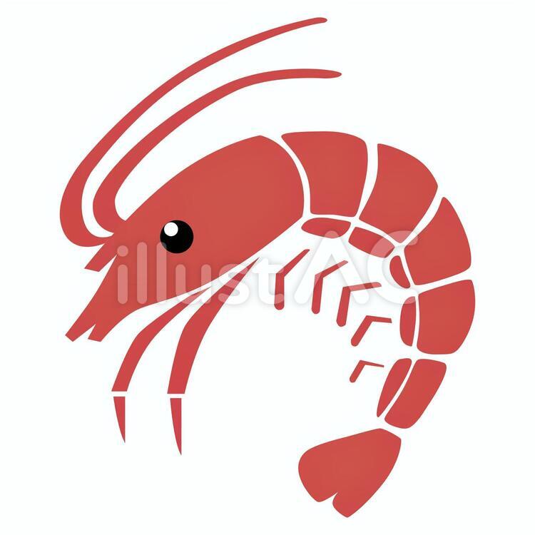 海老　01 海老,海,生き物のイラスト素材