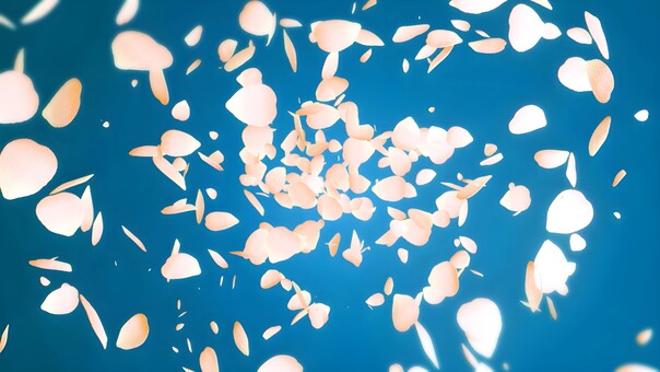 青空に舞い散る美しい花びら・春の背景素材 花びら,花,舞う,散る,飛ぶ,ピンク,背景,青空,空,桜のイラスト素材