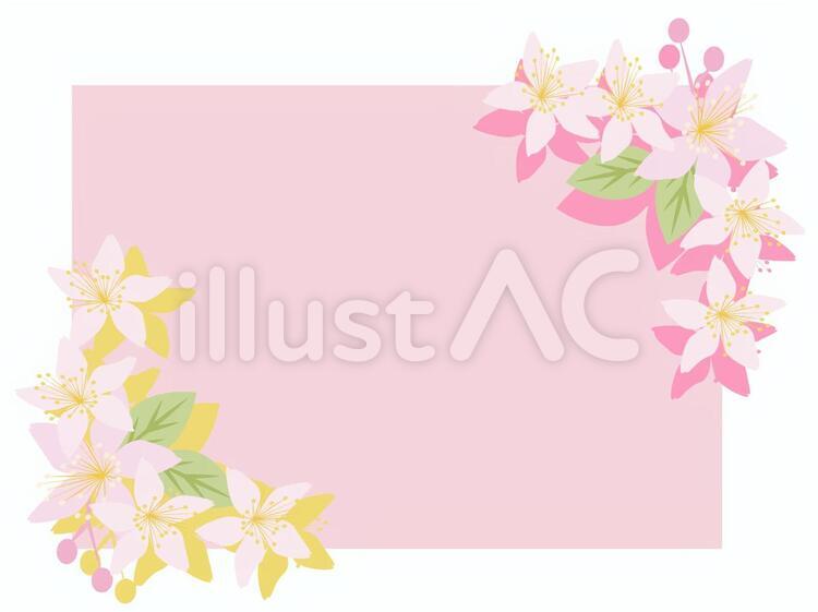 桜フレーム 桜,春,フレームのイラスト素材