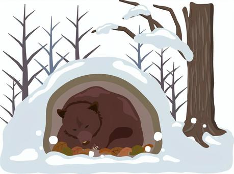 冬眠する熊 熊,冬ごもり,冬,冬眠,寝る,眠る,ツキノワグマ,ヒグマ,土,地中のイラスト素材