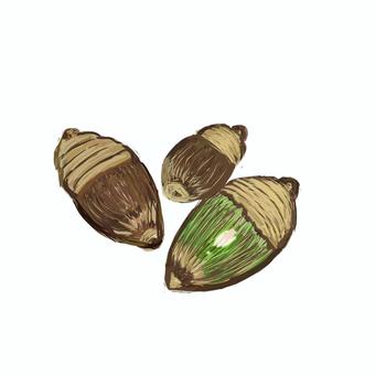 どんぐり どんぐり,三つ,茶色,緑色,殻斗のイラスト素材