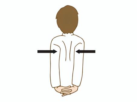 肩甲骨内転運動 肩甲骨,内転,肩,肩関節,肩甲帯,運動,リラクゼーション,肩こり,トレーニング,リハビリのイラスト素材