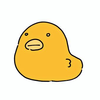 ひよこ ひよこ,鳥,赤ちゃん,動物,生き物,黄色,かわいい,ゆるいのイラスト素材
