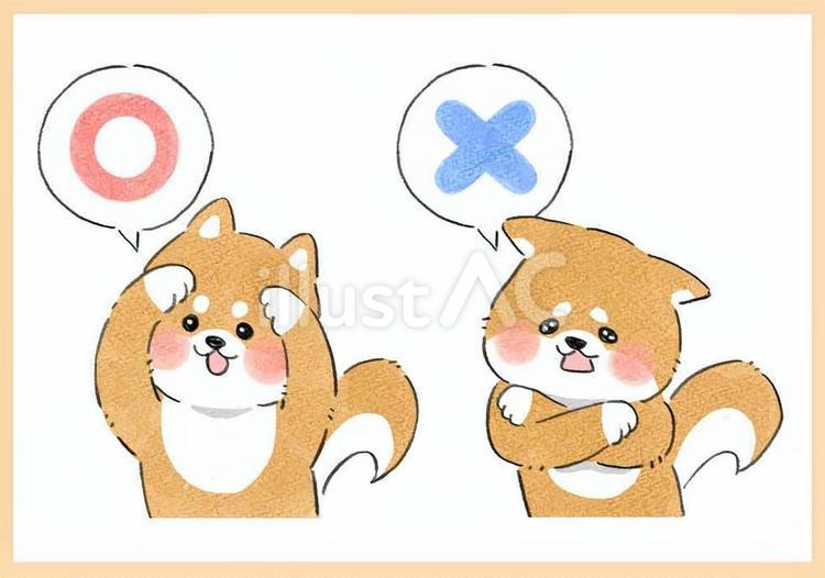 柴犬　OK＆NG 犬,ドッグ,柴犬のイラスト素材