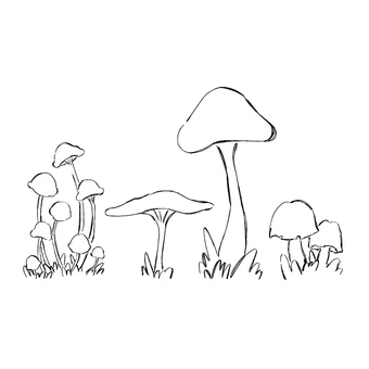 4種のきのこ　手描き風　線画 きのこ,毒キノコ,手描き風,ペン画,線画,インク,レトロ,おしゃれ,秋のイラスト素材