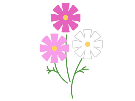 ボタニカルデザイン秋の訪れ可愛いコスモス コスモス,花,秋,ボタニカル,季節,植物,ピンク,白,可愛い,アイコンのイラスト素材