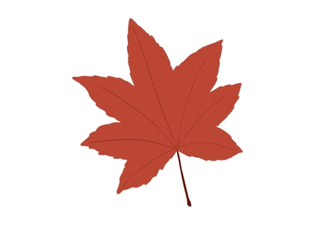 もみじ1枚のイラスト もみじ,紅葉,秋,植物,落ち葉,葉っぱ,枯れ葉,10月,11月,紅葉狩りのイラスト素材