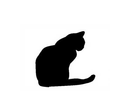 猫。。 猫,シルエット,動物,背景透過,黒猫,イラスト,素材,透過png,アイコン,ペットのイラスト素材