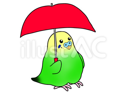 傘をさすセキセイインコ