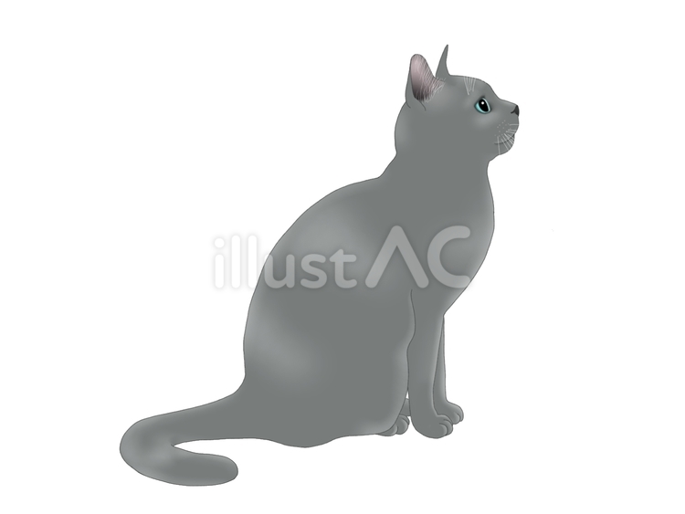 うちの猫 猫,子猫,かわいいのイラスト素材