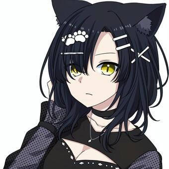 女の子 人物,女の子,キャラクター,猫耳,黒,かわいい,アイコン,プロフィール,アニメ絵,萌え系のイラスト素材