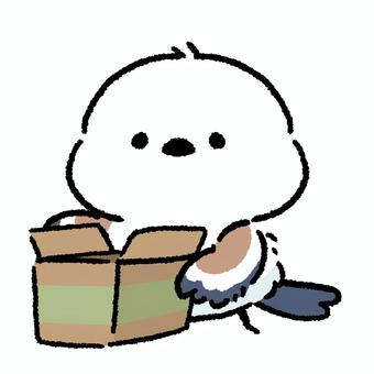シマエナガ_ダンボールを開ける_01 シマエナガ_ダンボールを開ける_01 シマエナガ,鳥,動物のイラスト素材