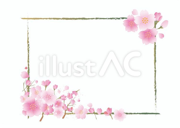 春　桜　花びら　フレーム 桜,春,フレームのイラスト素材