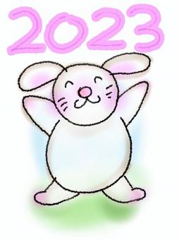 バンザイうさこ（2023） 2023,うさぎ,卯年,見上げる,上向き,両手,伸ばす,白兎,動物,生き物のイラスト素材