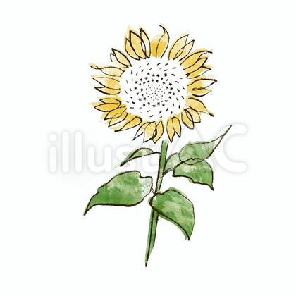 ひまわりのイラスト
