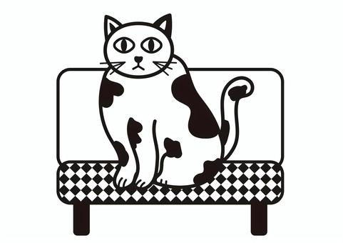 Illustration, cat, san mao cat, animal, 