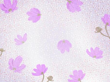 コスモスとドット柄の背景 コスモス,秋桜,秋,花,背景,水彩,水彩風,紫,ドット,水玉模様のイラスト素材
