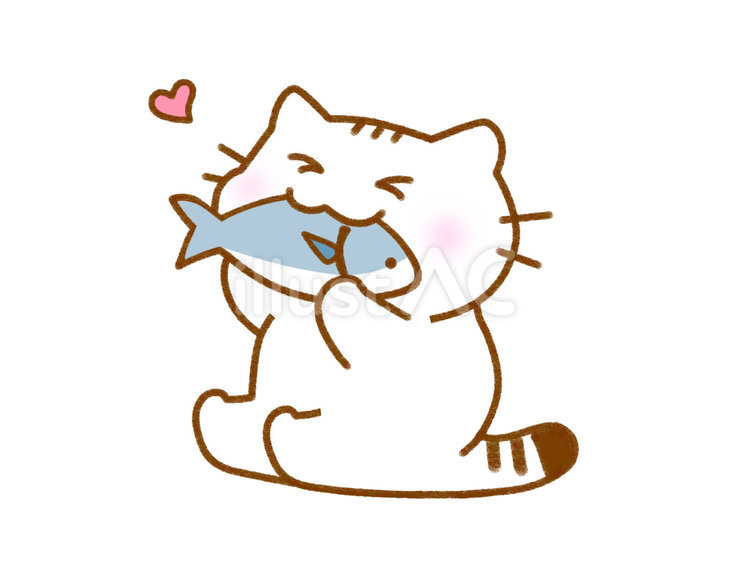 魚を食べる　白猫 猫,ねこ,白猫のイラスト素材