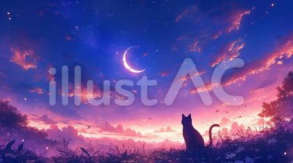 夜空を見つめる猫1