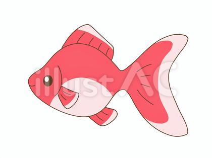 金魚のかわいいイラスト