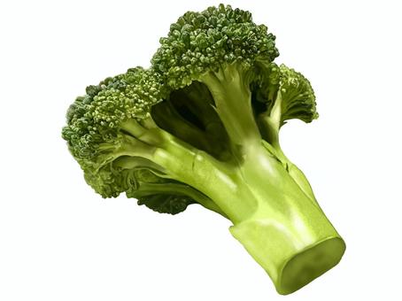 ブロッコリーのイラスト　２ ブロッコリー,緑黄色野菜,野菜,リアル,食材,挿絵,手描き,手書き,カット,写実のイラスト素材